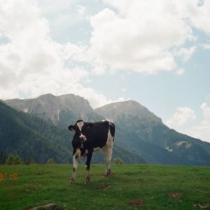 Meet your Posher, Oliver